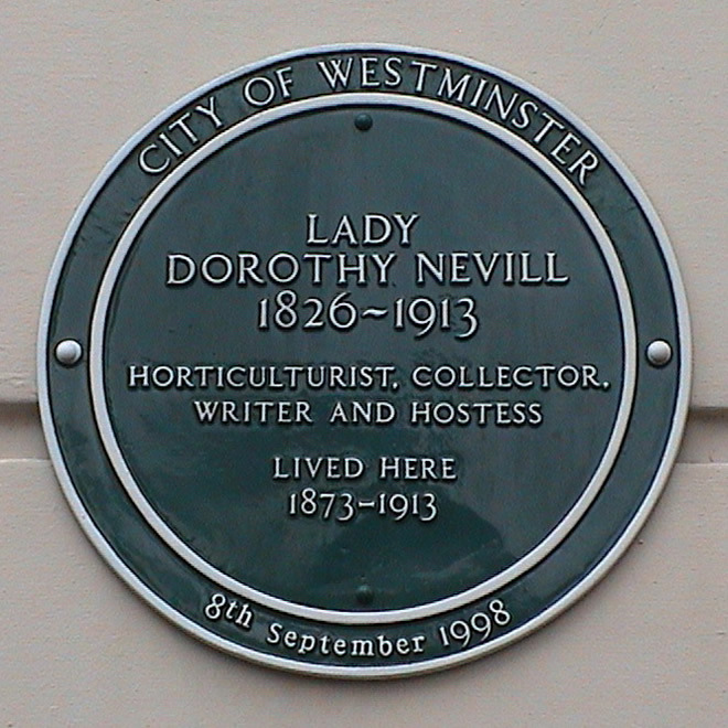dorothy nell white pages new york dorothy nell white pages new york