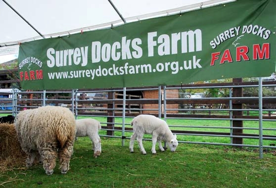 Surrey Docks Farm