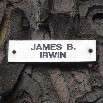 Astronauts - 14 - Irwin