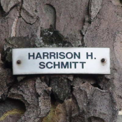 Astronauts - 16 - Schmitt