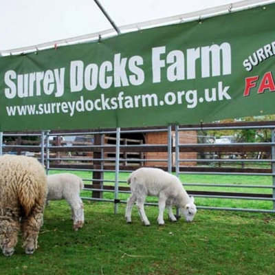 Surrey Docks Farm