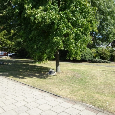 ������á'��'����á��