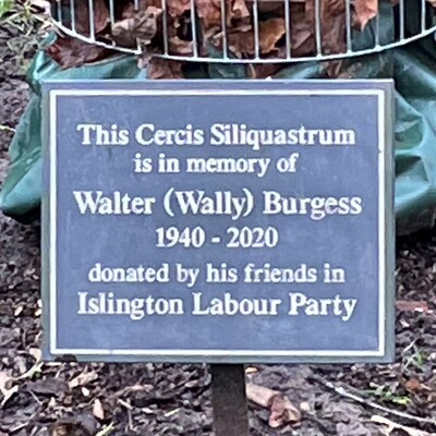 Wally Burgess