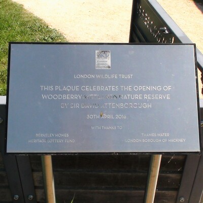 Woodberry Wetland Nature Reserve