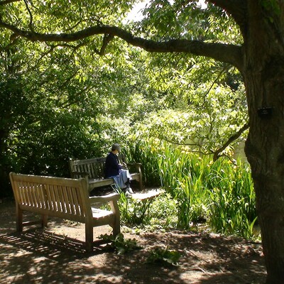 London Bridge - at Kew Gardens