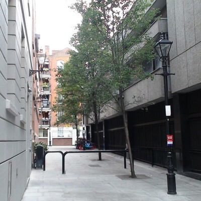 Jaimie Tapper planted trees 