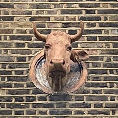 Wright’s Dairy - Old Church Street - cow's head on front building