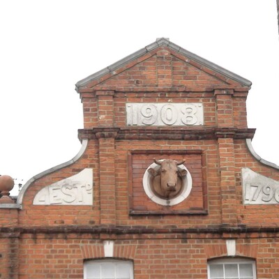 Wright’s Dairy - Old Church Street -  cow's head on set back building