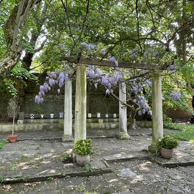 Moravians / Gillick Pageant / Beaufort House