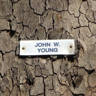 Astronauts - 02 - Young