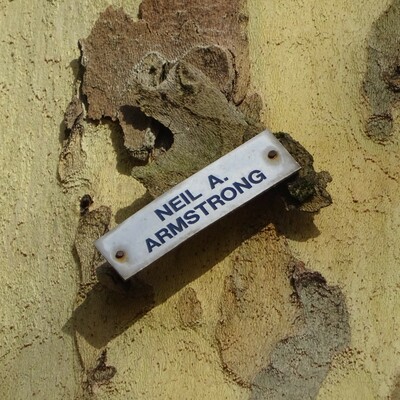 Astronauts - 03 - Armstrong