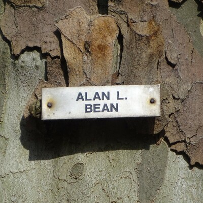 Astronauts - 06 - Bean