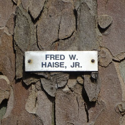 Astronauts - 07 - Haise