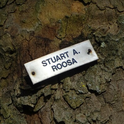 Astronauts - 09 - Roosa