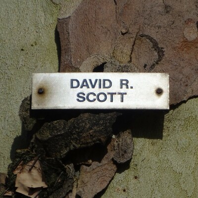 Astronauts - 11 - Scott