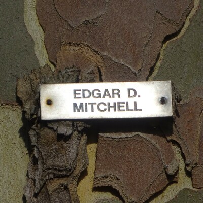 Astronauts - 12 - Mitchell