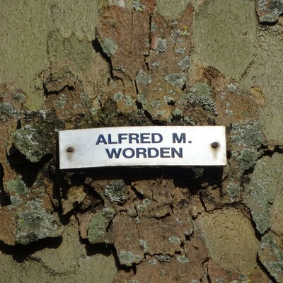 Astronauts - 13 - Worden